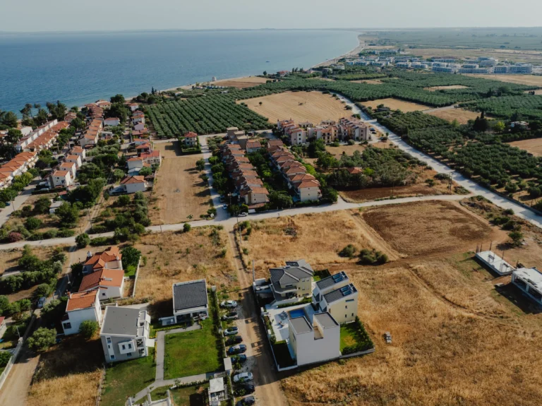 2024.06.24_alexsolc_lamas-0646