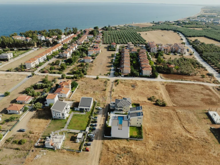 2024.06.24_alexsolc_lamas-0650