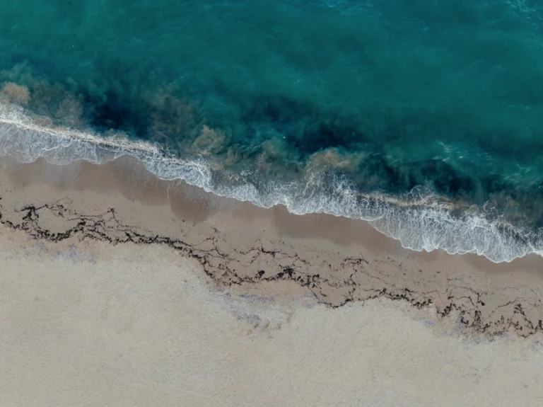 2024.06.24_alexsolc_lamas-0670