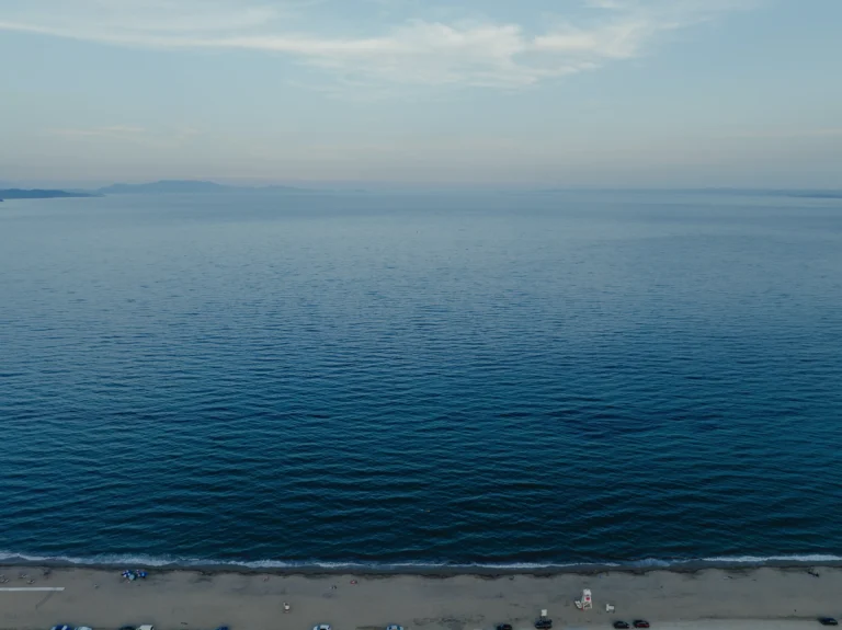 2024.06.24_alexsolc_lamas-0677