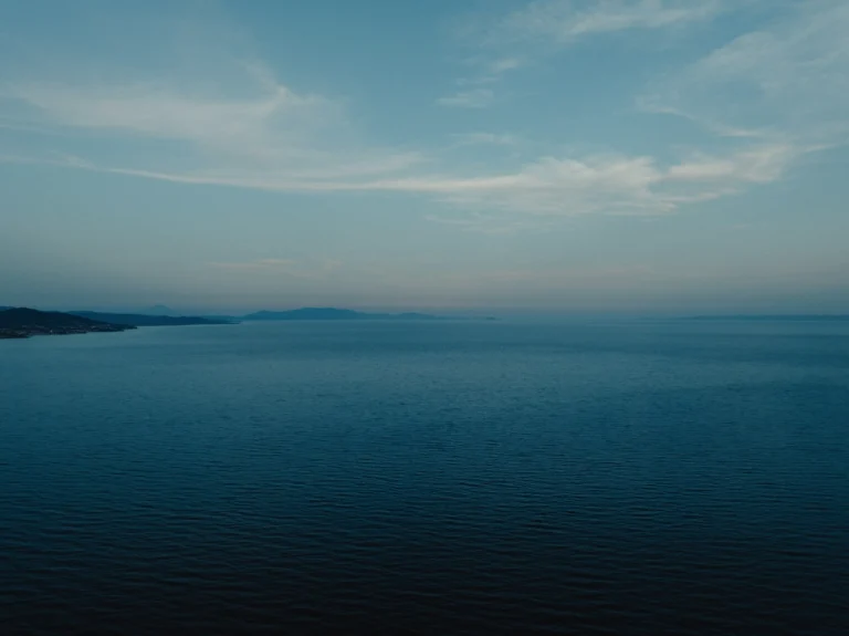 2024.06.24_alexsolc_lamas-0684