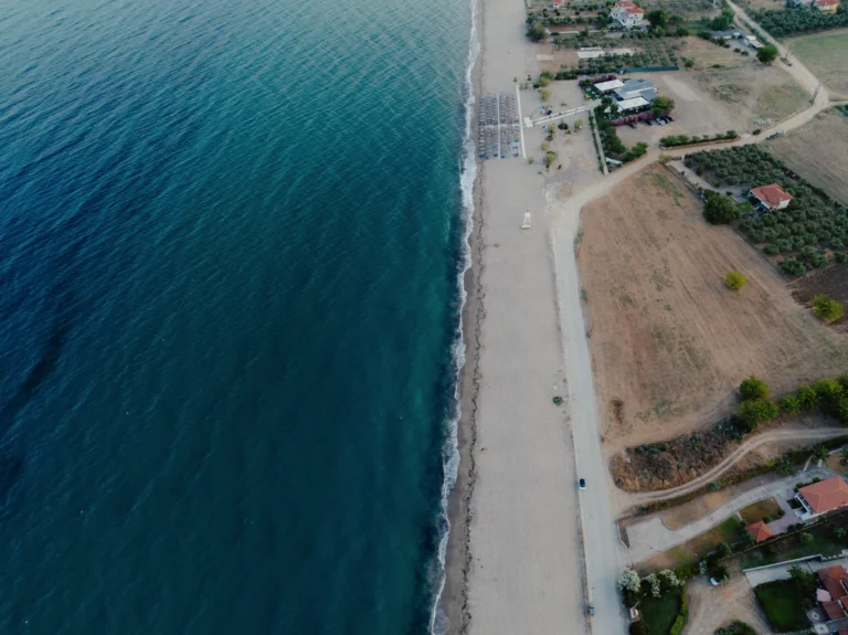 2024.06.24_alexsolc_lamas-0685