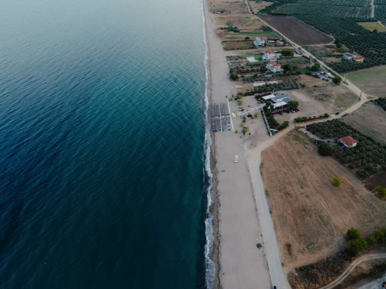 2024.06.24_alexsolc_lamas-0686