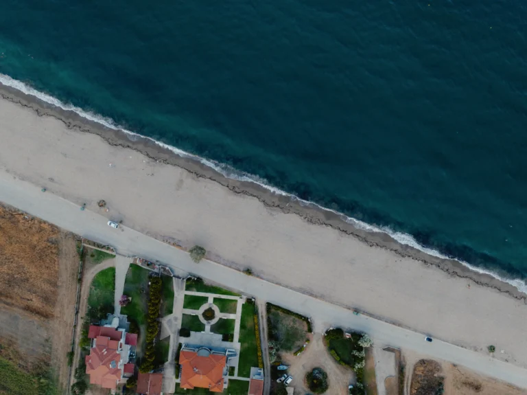 2024.06.24_alexsolc_lamas-0687