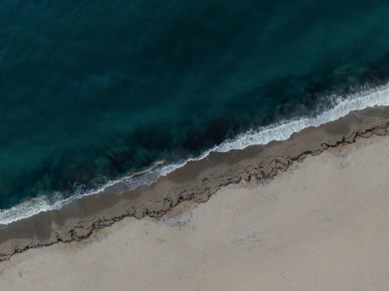 2024.06.24_alexsolc_lamas-0691