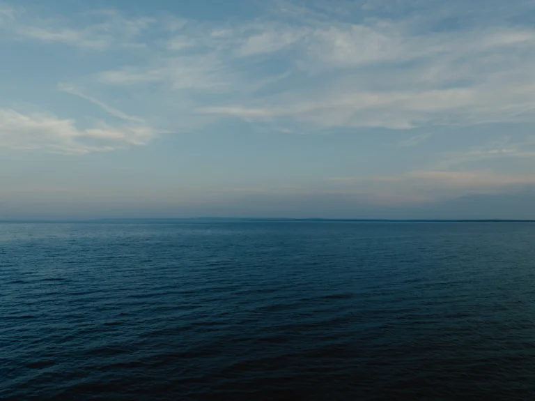 2024.06.24_alexsolc_lamas-0696