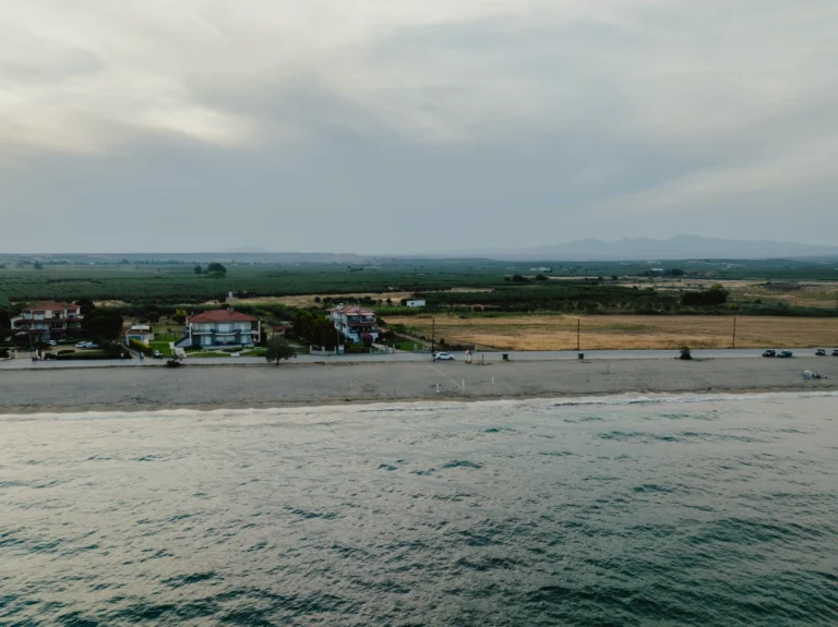 2024.06.24_alexsolc_lamas-0697