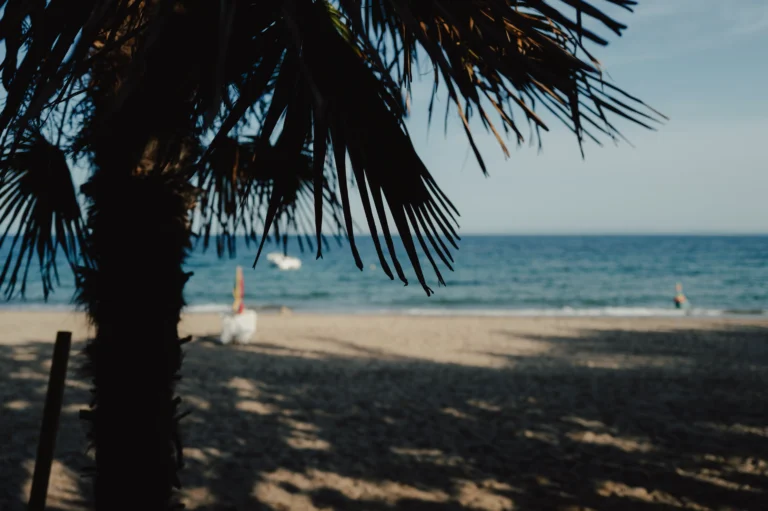 2024.06.24_alexsolc_lamas-1016580