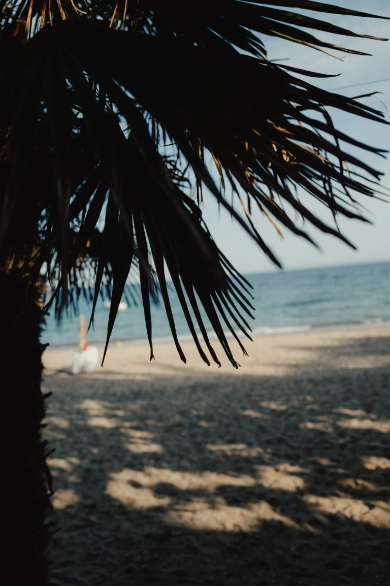 2024.06.24_alexsolc_lamas-1016583