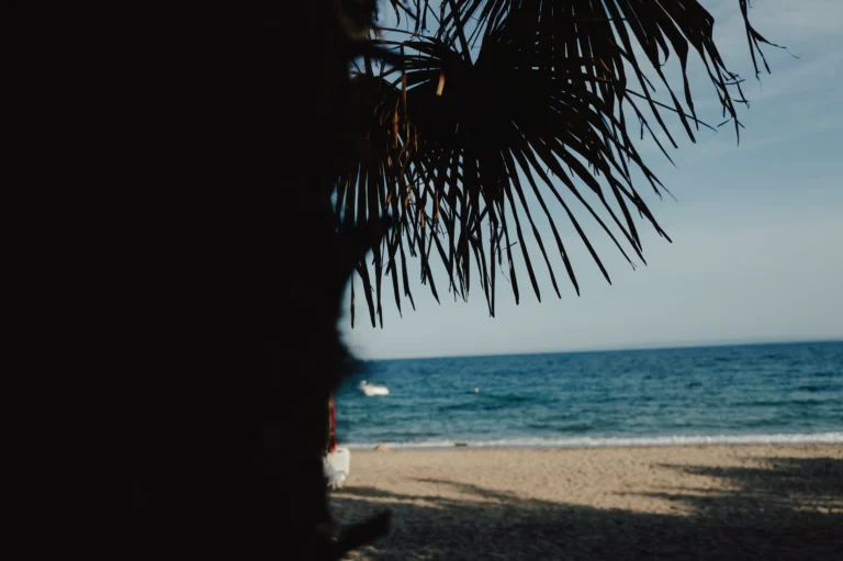 2024.06.24_alexsolc_lamas-1016585