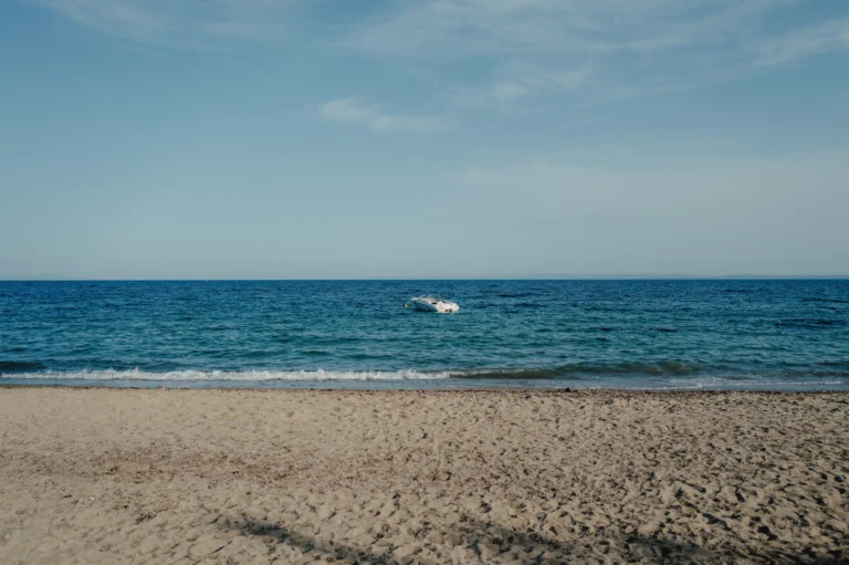 2024.06.24_alexsolc_lamas-1016586