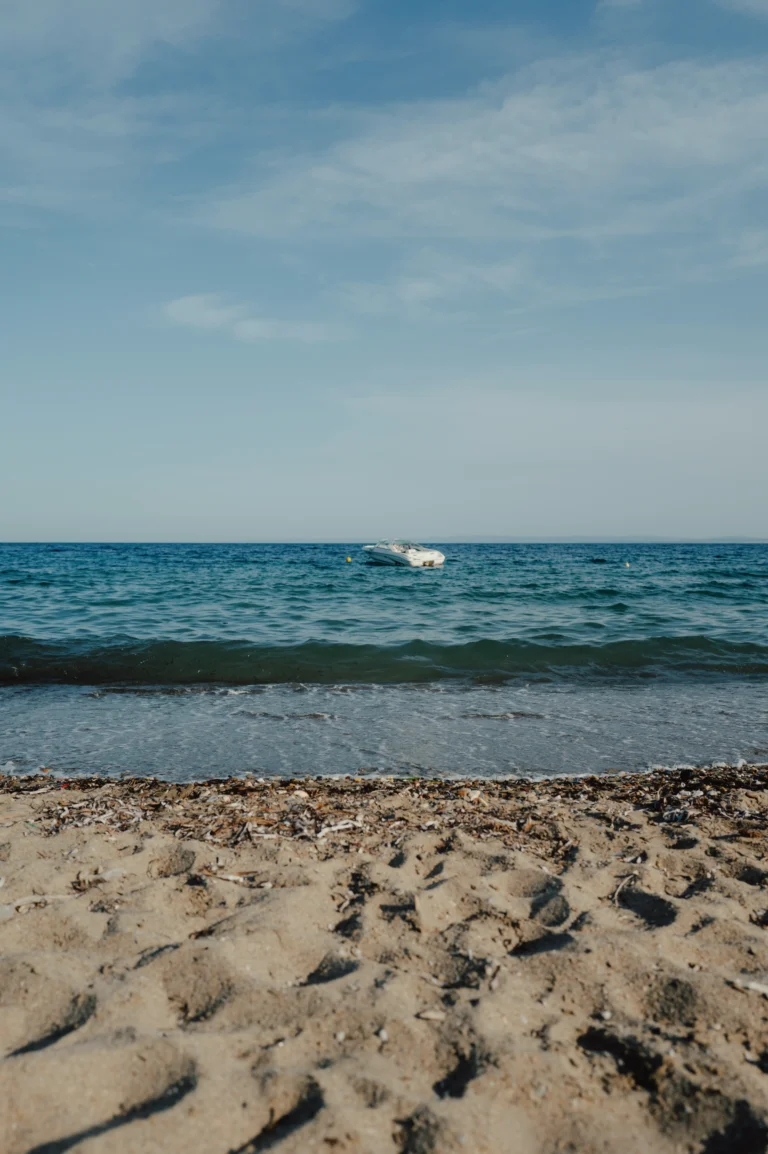 2024.06.24_alexsolc_lamas-1016591