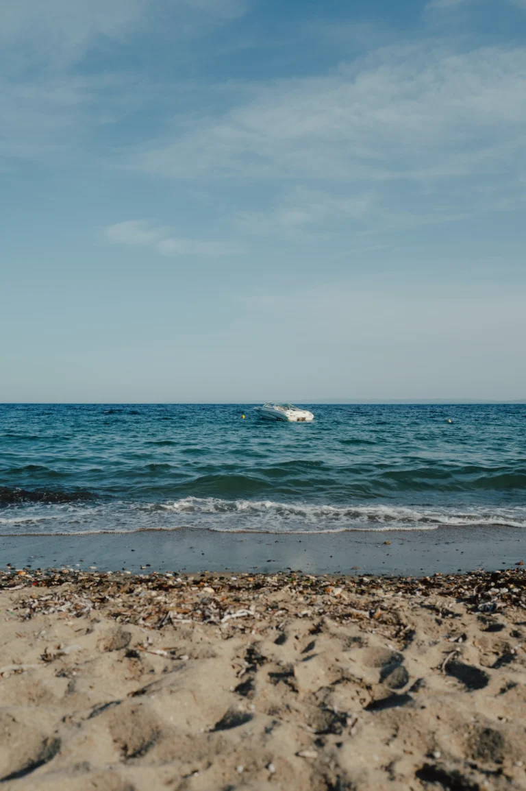 2024.06.24_alexsolc_lamas-1016592