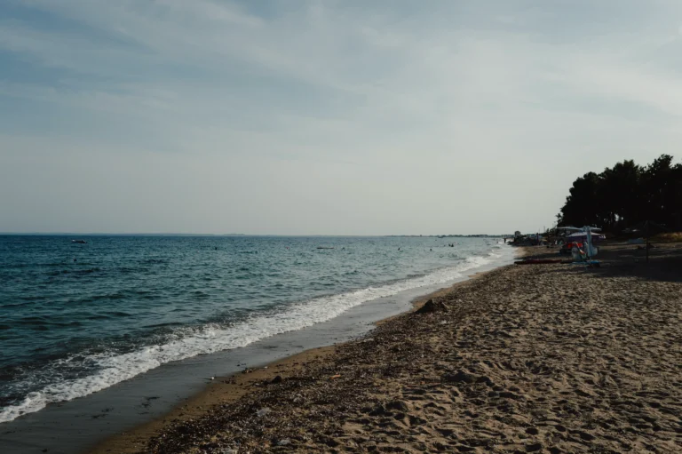 2024.06.24_alexsolc_lamas-1016594