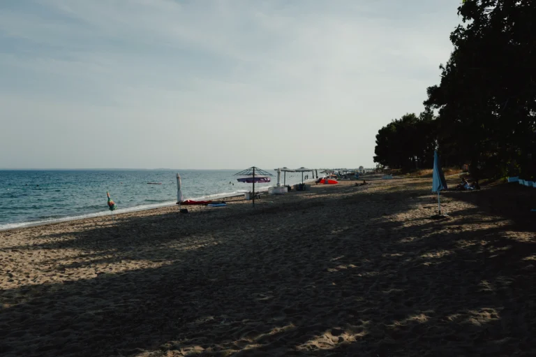 2024.06.24_alexsolc_lamas-1016595