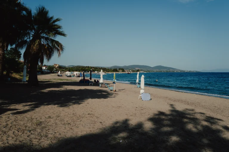 2024.06.24_alexsolc_lamas-1016597